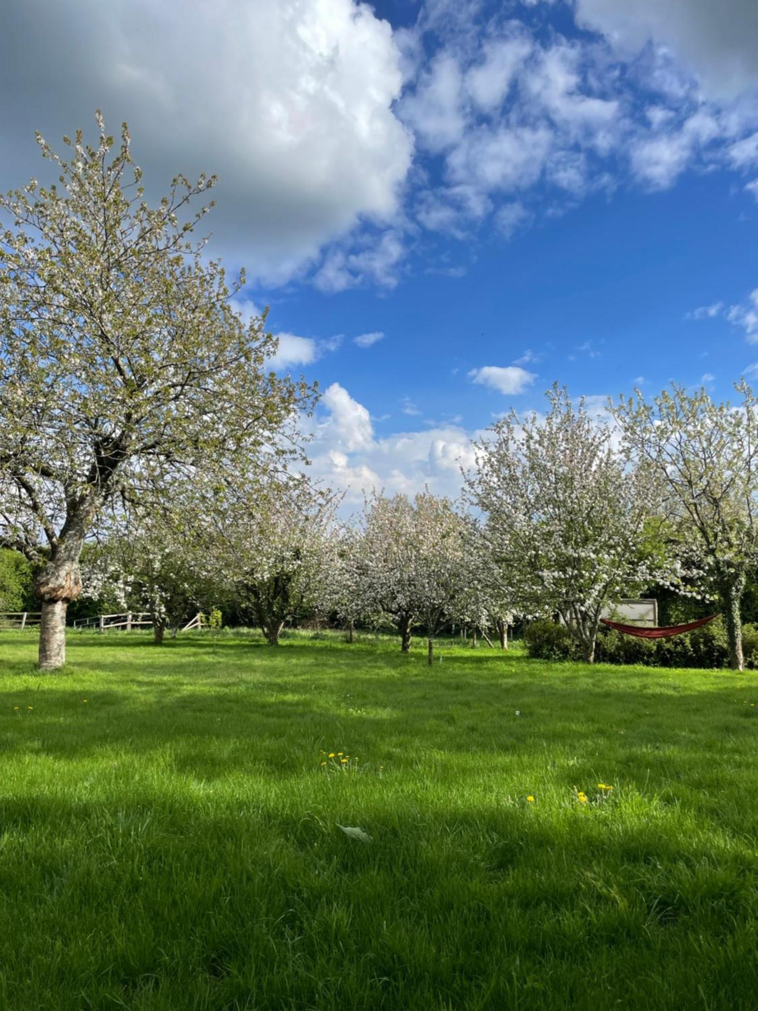 Gite A La Campagne Le Mesnil-Villeman エクステリア 写真
